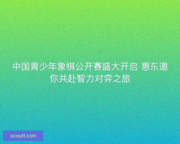 中国青少年象棋公开赛盛大开启 惠东邀你共赴智力对弈之旅